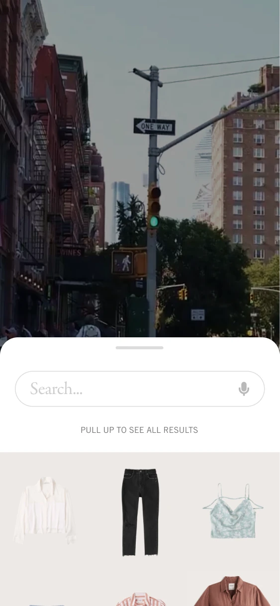 Product matches appear in a partial-height sheet over the camera view.